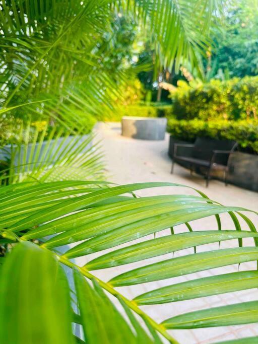 Alpaca Sky View Patong Apartment Exterior photo